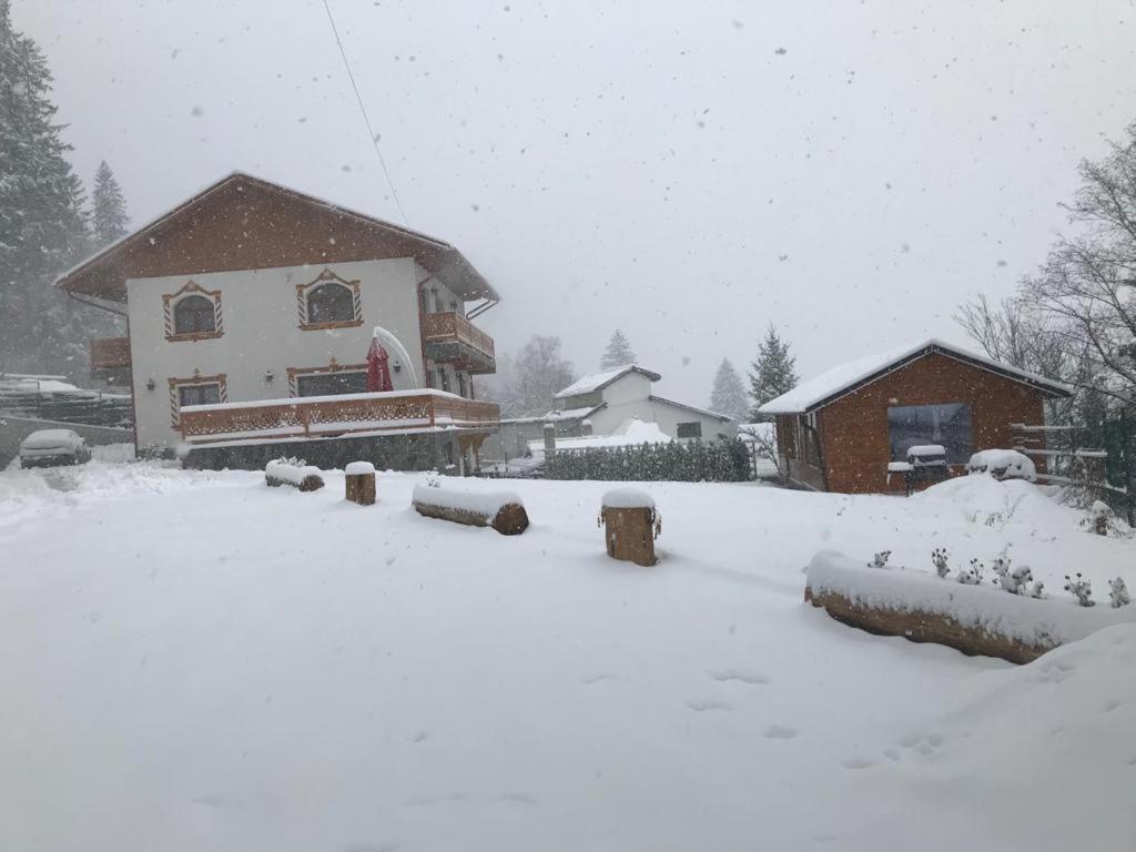 Casa Belcin Spa&Retreat Buşteni Zewnętrze zdjęcie